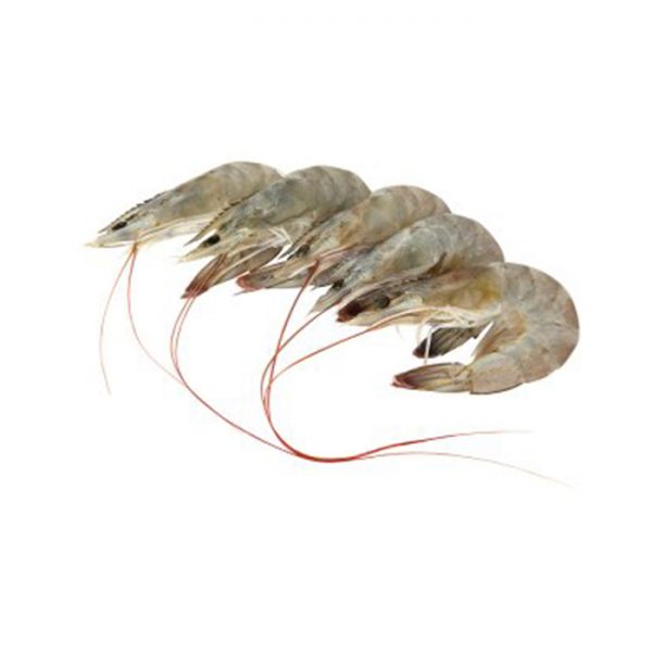 Udang (Prawn/Shrimp) Sederhana L 220g