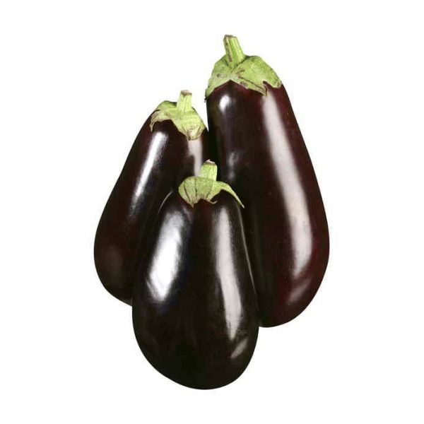 Terung Bulat (Round Eggplant)